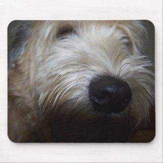 Alfombrilla De Ratón Cara de trigo del perro de Terrier