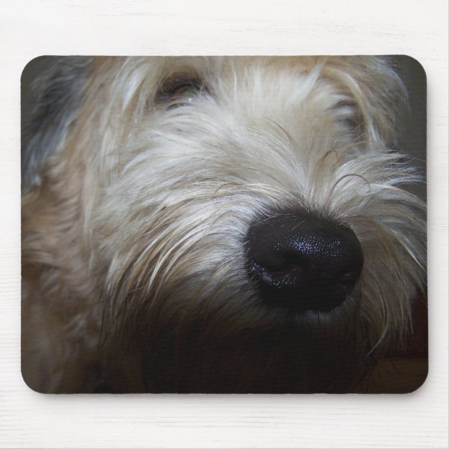 Alfombrilla De Ratón Cara de trigo del perro de Terrier (Frente)