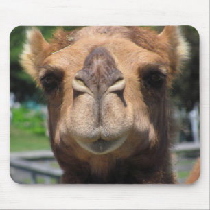 Alfombrilla De Ratón Cara del camello