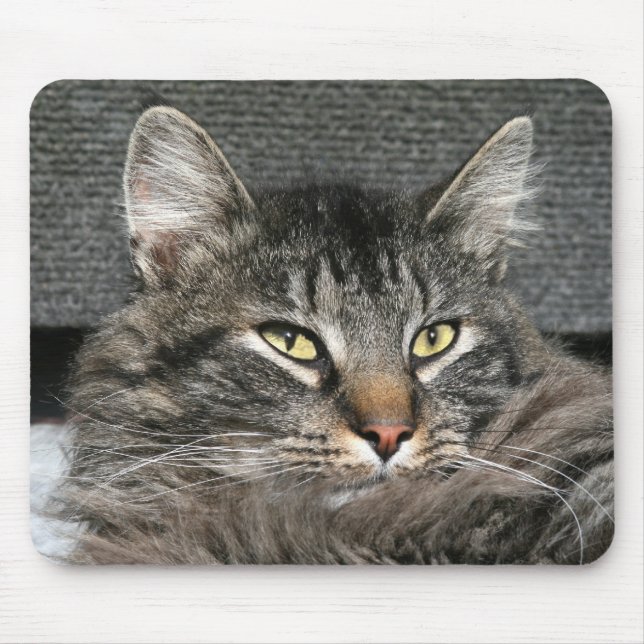 Alfombrilla De Ratón Cara del gato Maine Coon (Frente)