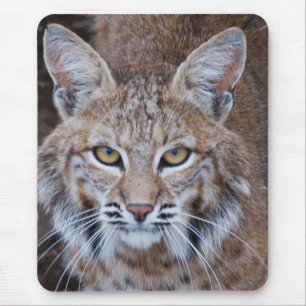 Alfombrilla De Ratón Cara del lince