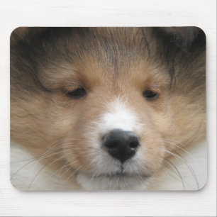 Alfombrilla De Ratón Cara del perrito de Sheltie