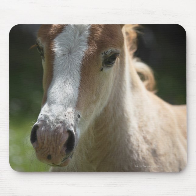 Alfombrilla De Ratón cara del potro (Frente)