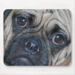 Alfombrilla De Ratón cara del puggle
