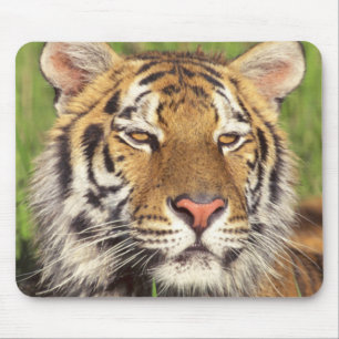 Alfombrilla De Ratón Cara del tigre