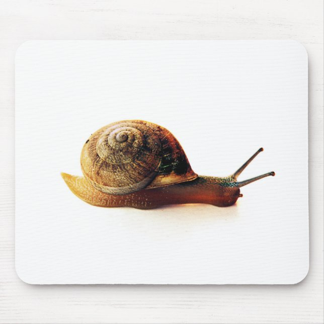 Alfombrilla De Ratón Caracol (Frente)