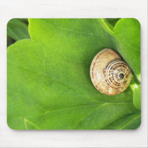 Alfombrilla De Ratón Caracol