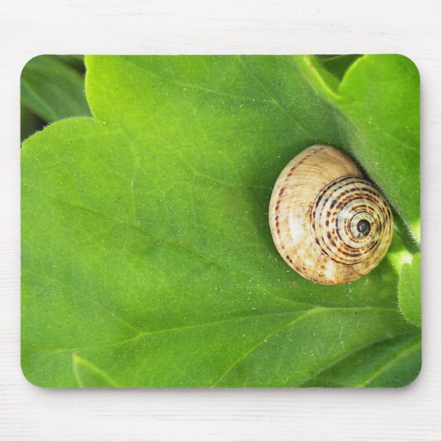 Alfombrilla De Ratón Caracol (Frente)