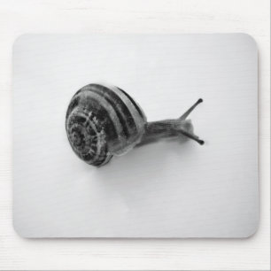 Alfombrilla De Ratón Caracol