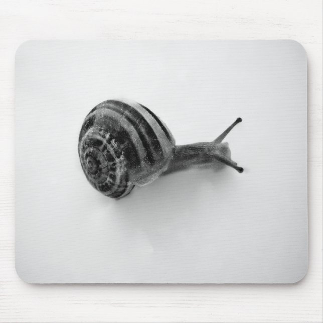 Alfombrilla De Ratón Caracol (Frente)