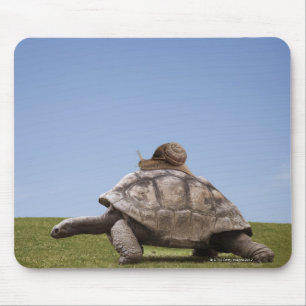 Alfombrilla De Ratón Caracol sobre una tortuga
