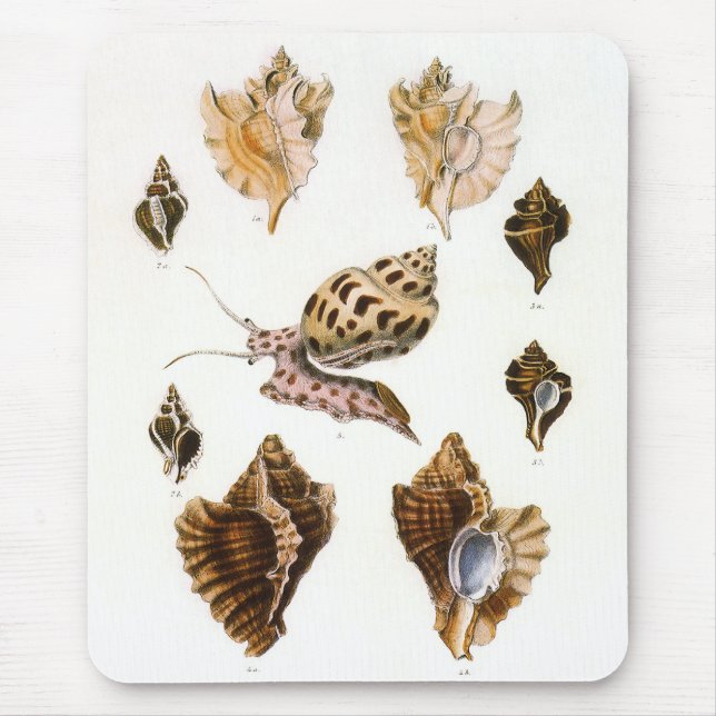 Alfombrilla De Ratón Caracoles y moluscos de época, organismos de la vi (Frente)