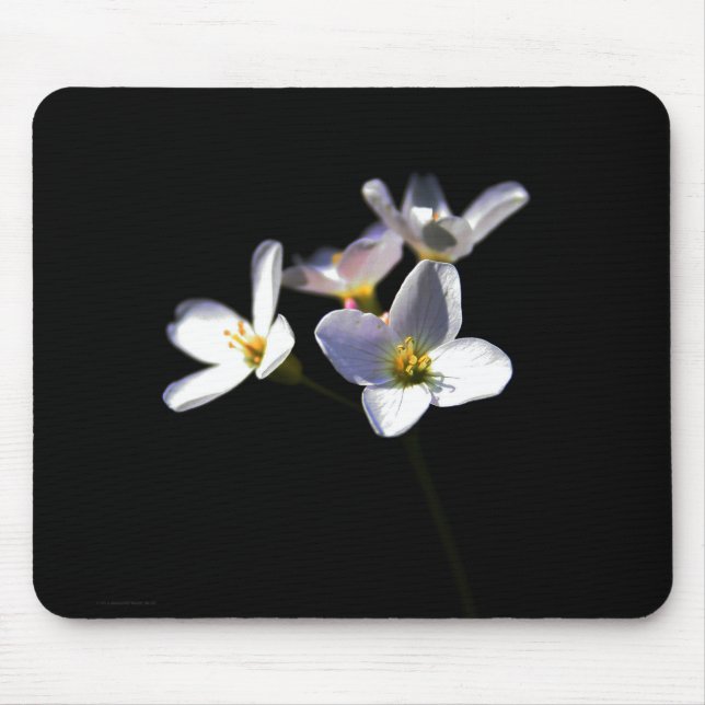 Alfombrilla De Ratón Cardamine Pratensis Flowers mpcna (Frente)