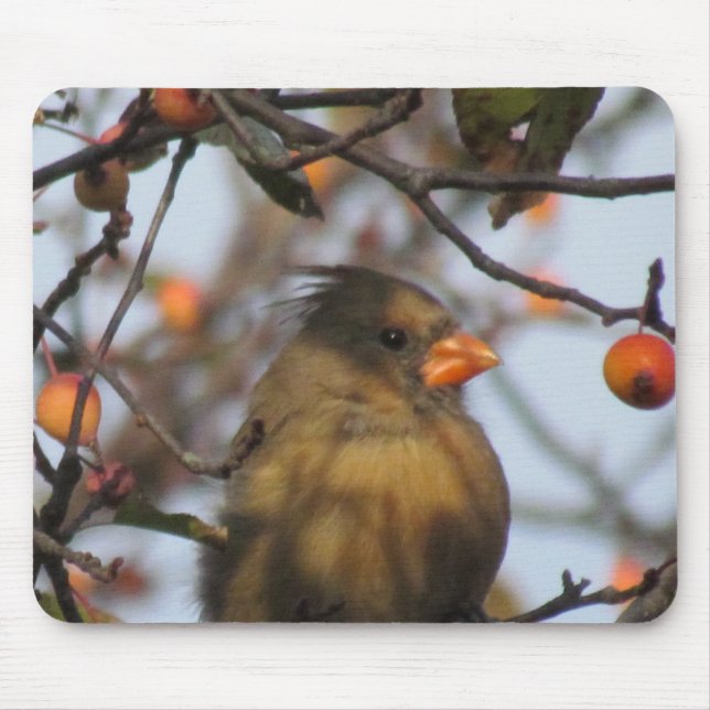 Alfombrilla De Ratón Cardenal de otoño (Frente)
