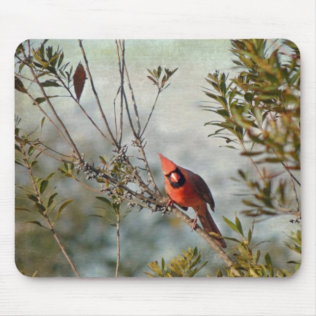Alfombrilla De Ratón Cardenal del Norte en Wax Myrtle (Frente)