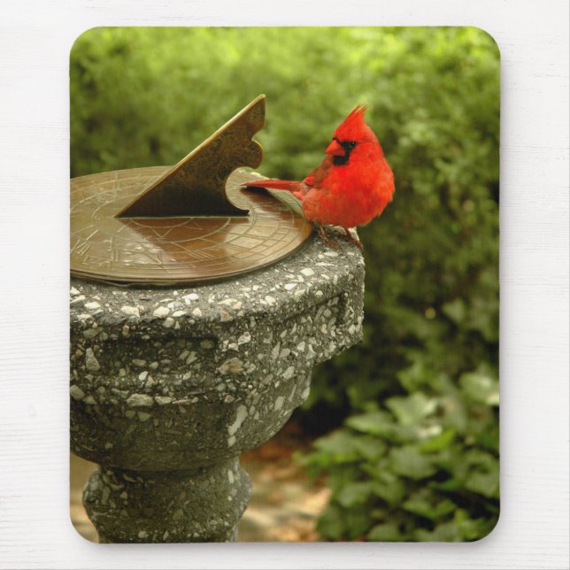 Alfombrilla De Ratón Cardenal en el Central Park Mousepad (Frente)