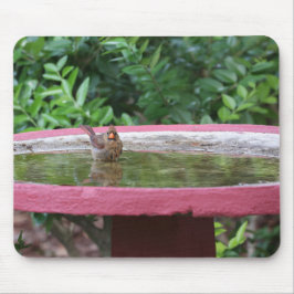 Alfombrilla De Ratón Cardenal femenino en baño de aves