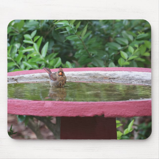 Alfombrilla De Ratón Cardenal femenino en baño de aves (Frente)