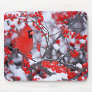 Alfombrilla De Ratón Cardenal norteño macho, invierno, IL