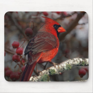 Alfombrilla De Ratón Cardenal rojo de los primistas de los White Berrie