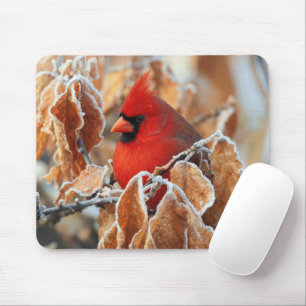 Alfombrilla De Ratón Cardenal Rojo en Hojas de Otoño Heladas