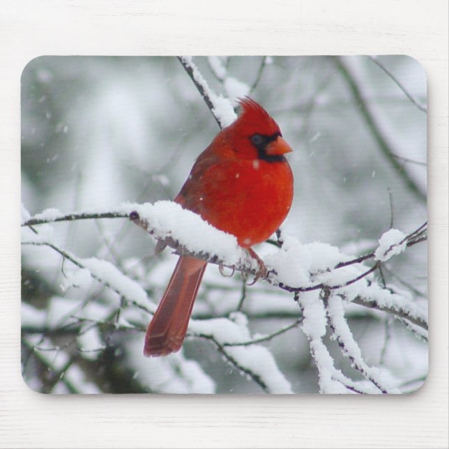 Alfombrilla De Ratón Cardenal rojo en la nieve Mousepad (Frente)
