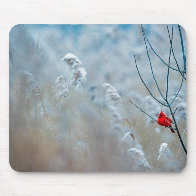 Alfombrilla De Ratón Cardenal rojo en Navidades de fotografía de natura (Frente)