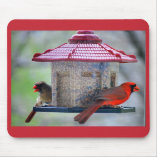 Alfombrilla De Ratón Cardenales hembras y machos en Mousepad, alimentad