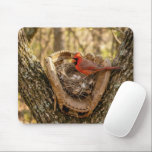 Alfombrilla De Ratón Cardinal Nest in a Baseball Glove<br><div class="desc">A red cardinal on a nest in a baseball glove,  nestled in the crook of a tree</div>