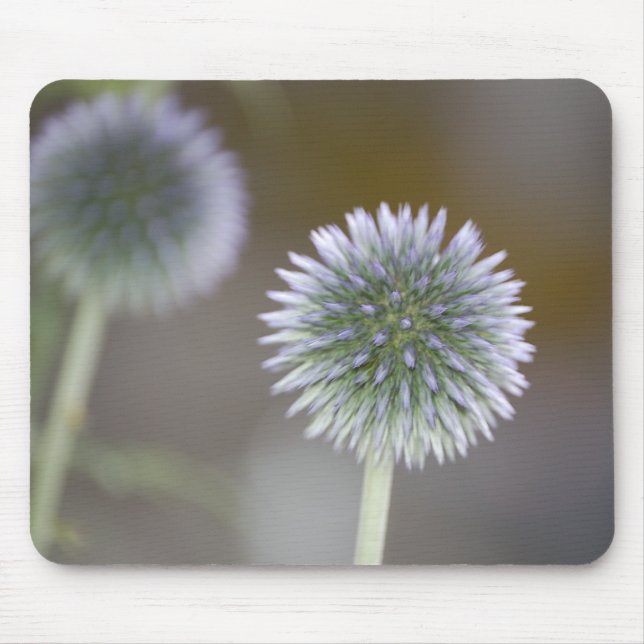 Alfombrilla De Ratón Cardos reflejados Mousepad (Frente)