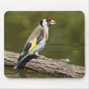 Alfombrilla De Ratón Carduelis carduelis