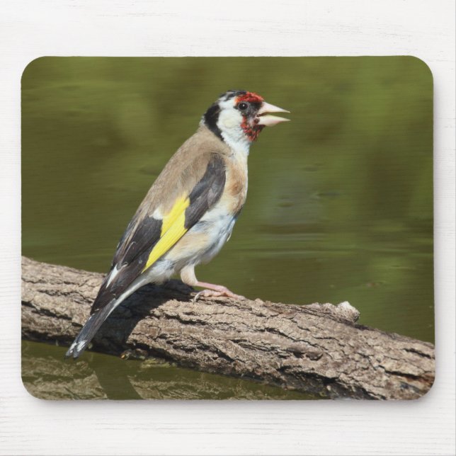 Alfombrilla De Ratón Carduelis carduelis (Frente)