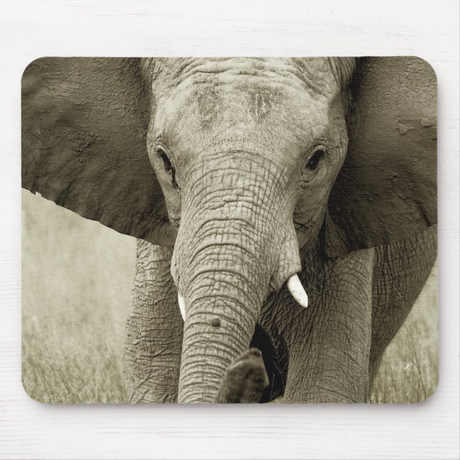 Alfombrilla De Ratón Carga del elefante africano, mousepads del safari (Frente)