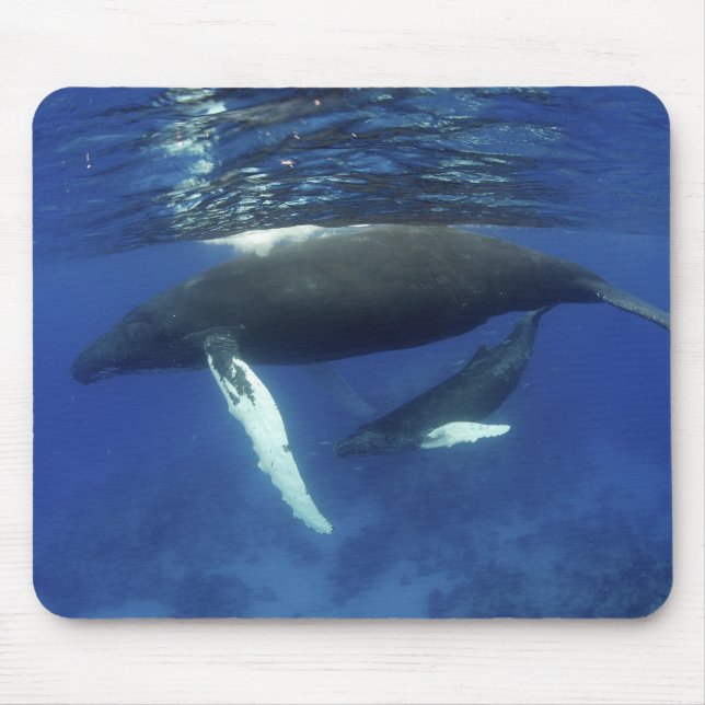 Alfombrilla De Ratón Caribe, archipiélago de las Antillas Mayores, (Frente)