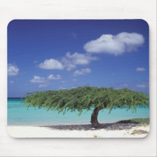 Alfombrilla De Ratón Caribe, Aruba. Playa Eagle