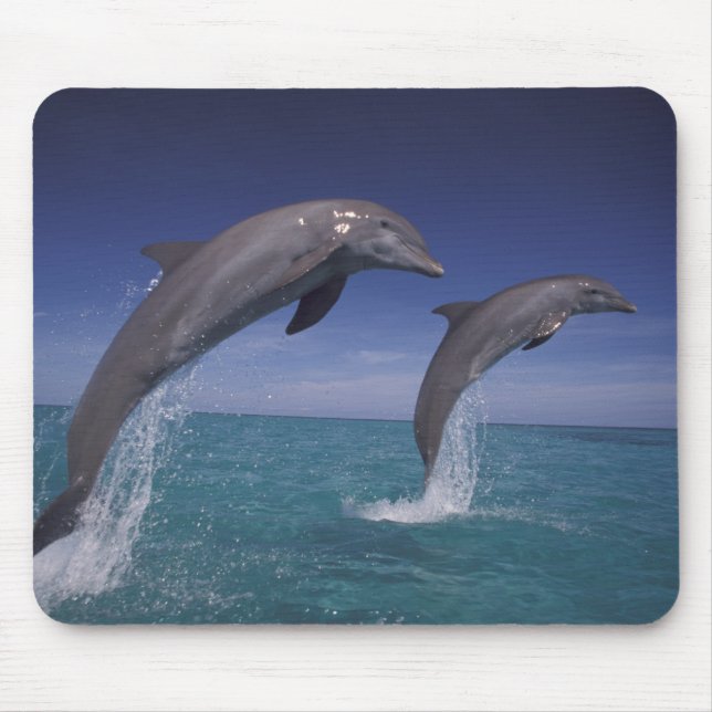 Alfombrilla De Ratón Caribe, delfines botánicos Tursiops (Frente)