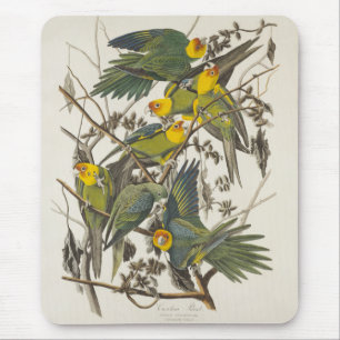 Alfombrilla De Ratón Carolina Parrot - John James Audubon (1827-1838)