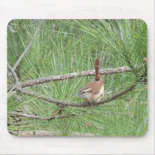 Alfombrilla De Ratón Carolina Wren en un árbol de pino