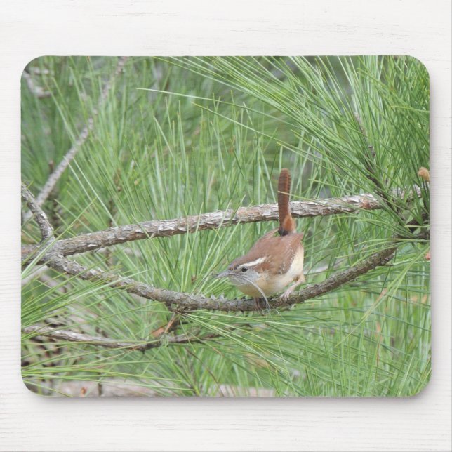 Alfombrilla De Ratón Carolina Wren en un árbol de pino (Frente)