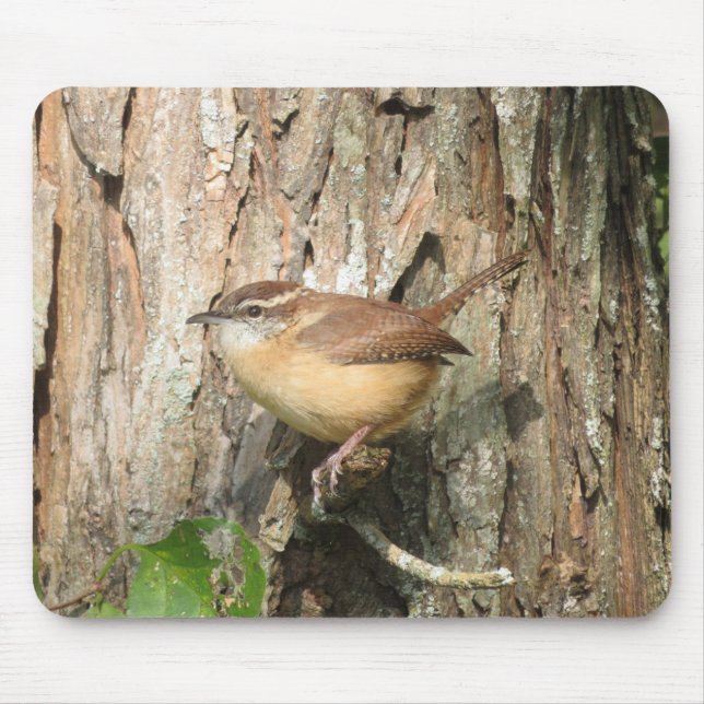 Alfombrilla De Ratón Carolina Wren Mouse Pad (Frente)