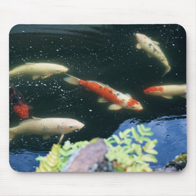 Alfombrilla De Ratón Carp (Frente)