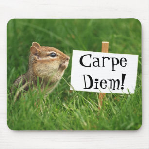 Alfombrilla De Ratón ¡Carpe Diem! Chipmunk con el Rótulo