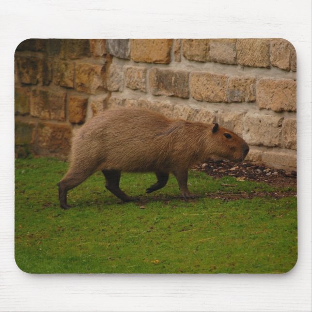Alfombrilla De Ratón carpincho (Frente)