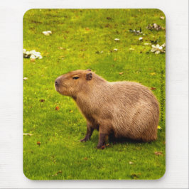 Alfombrilla De Ratón Carpincho