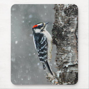 Alfombrilla De Ratón Carpintero lechoso en nieve - Fotografía original