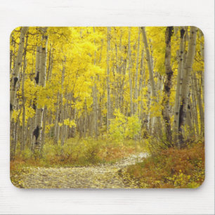 Alfombrilla De Ratón Carretera con colores de otoño y álamos en Kebler