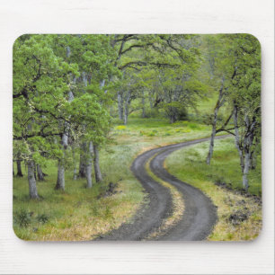 Alfombrilla De Ratón Carretera rural a través de árboles, Oregon