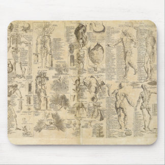 Alfombrilla De Ratón Carta anatómica de Cyclopaedia 1728