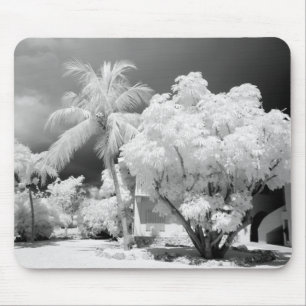 Alfombrilla De Ratón casa de Florida Keys y sus palmeras, EE. UU. 2