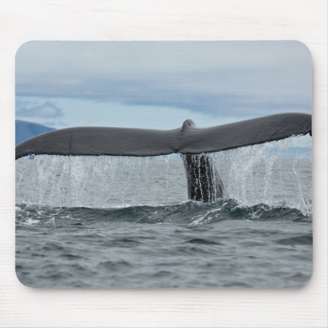 Alfombrilla De Ratón Cascada (Frente)